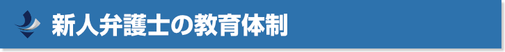 新人弁護士の教育体制