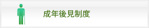成年後見制度