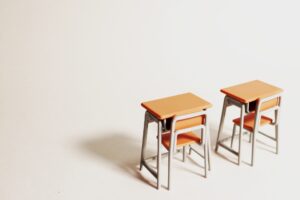 調査組織の設置と調査の実施