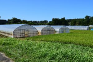 相続未登記農地の現状