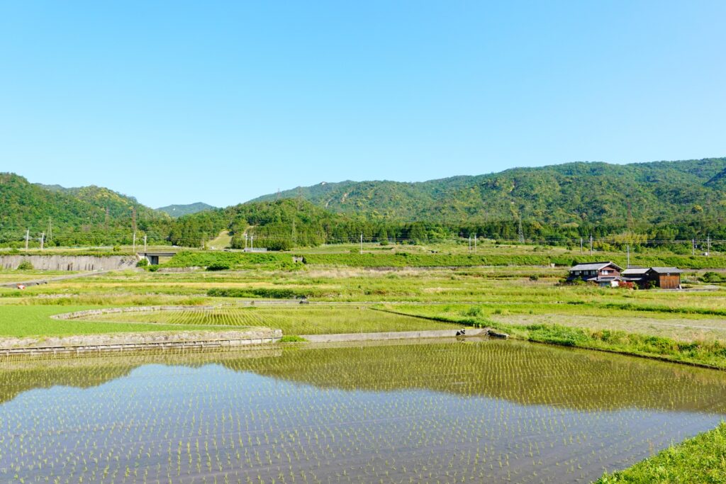 相続未登記農地の現状と問題点について